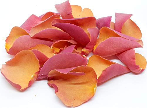 Burnt Orange Rose Petals - by Uncle Roy's - 200g/20Ltr Box von Uncle Roy's