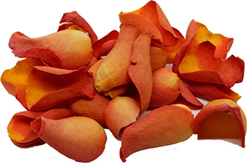 Dark Orange Rose Petals - by Uncle Roy's - 1.5g/195ml Jar von Uncle Roy's