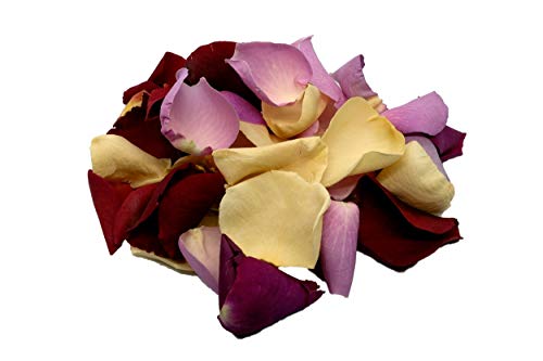 Edible Mixed Colour Rose Petals by uncle roy von Uncle Roy's