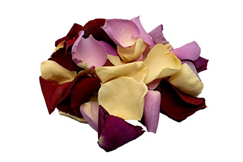 Edible Mixed Colour Rose Petals by uncle roy Edible Mixed Colour Rose Petals by uncle roy von Uncle Roy's