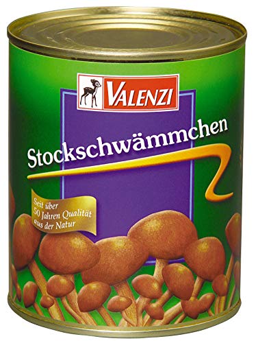 Valenzi Stockschwämmchen 850ml Dose von VALENZI