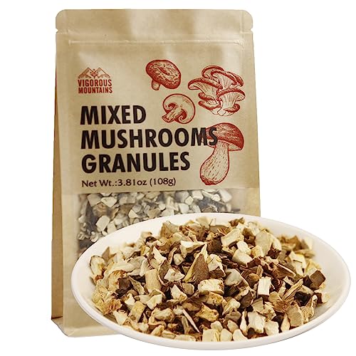 VIGOROUS MOUNTAINS Getrocknete verschiedene Pilze Körner zum Kochen einschließlich Shiitakes Champignon Porcini Auster kulinarische Pilze 3.81 Unze, 108g von VIGOROUS MOUNTAINS