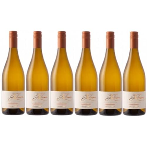 Côte de Gascogne troken aromatisch 2021 "Chardonnay" 12%, 6 x 75cl. von VINACCUS