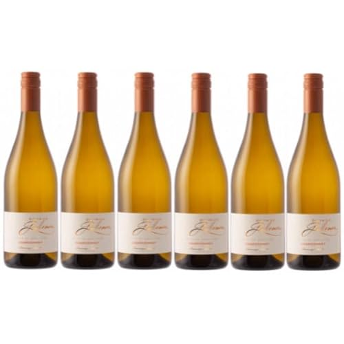 Côte de Gascogne troken aromatisch 2021 "Chardonnay" 12%, 6 x 75cl. von VINACCUS