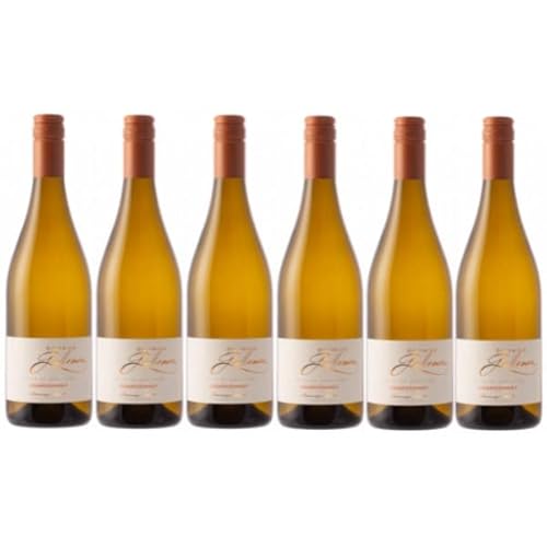 Côte de Gascogne troken aromatisch 2023 "Chardonnay" 12%, 6 x 75cl. von VINACCUS