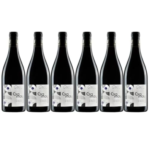 Gamay rot - Hauts Perrays - Anjou - 6 x 75cl. von VINACCUS