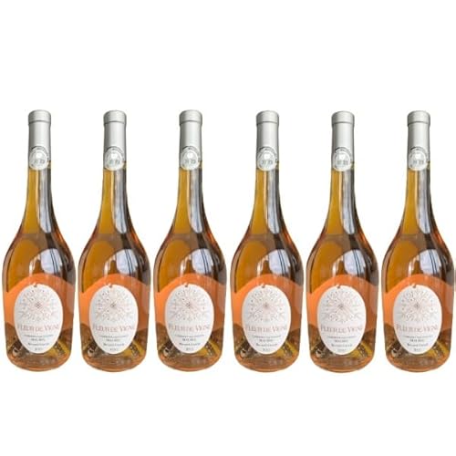 Bio "Weinrebe Blume" Rosé 2023 - Weingut Cazade - IGP Atlantique - 6 x 75cl. von VINACCUS