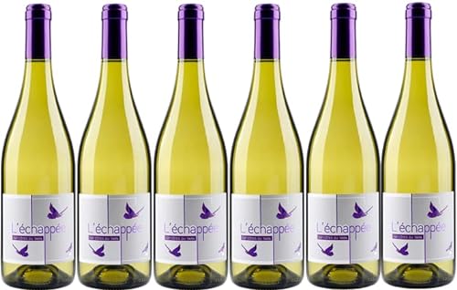 Wein Land der côtes du tarn Trockener Weißwein 2022 - l'échappée - 6 x 75cl. von VINACCUS