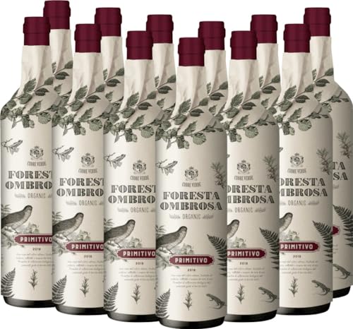 Foresta Ombrosa Puglia IGT Cuore Verde Rotwein 12 x 0,75l VINELLO - 12 x Weinpaket inkl. kostenlosem VINELLO.weinausgießer von VINELLO