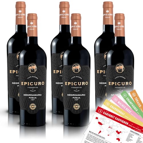Epicuro Negroamaro Puglia Rotwein, trocken, sortenreines Weinpaket + VINOX Winecards (6x0,75l) von VINOX