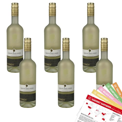 6 Flaschen Maybach Grauer Burgunder & Rivaner Rheinhessen QbA, trocken, sortenreines Weinpaket + VINOX Weinkarten (6x0,75 l) von VINOX