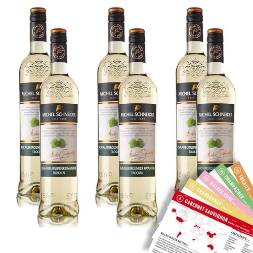 Michel Schneider Grauburgunder Rivaner QbA, trocken, sortenreines Weinpaket + VINOX Winecards (6x0,75l) von VINOX