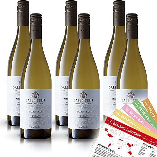 Bodegas Salentein Barrel Selection Chardonnay, trocken, sortenreines Weinpaket + VINOX Winecards (6x0,75l) von VINOX