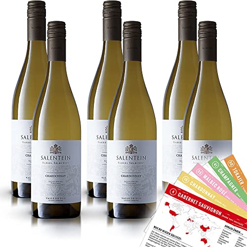 Bodegas Salentein Barrel Selection Chardonnay Weißwein, trocken, 2022, sortenreines Weinpaket + VINOX Winecards (6x0,75l) von VINOX