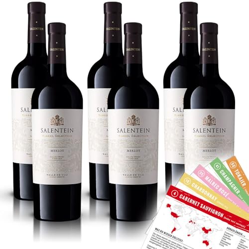 Bodegas Salentein Barrel Selection Merlot Rotwein, trocken, 2020, sortenreines Weinpaket + VINOX Winecards (6x0,75l) #1 von VINOX