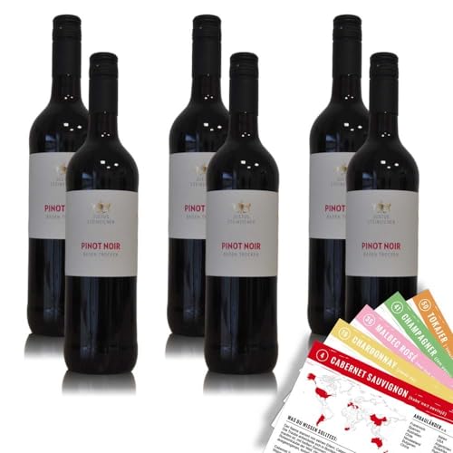 Justus Steineicher Pinot Noir QbA, trocken, sortenreines Weinpaket + VINOX Winecards (6x0,75l) von VINOX