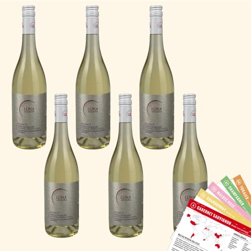Luna Argenta Bianco Appassite, halbtrocken, sortenreines Weinpaket + VINOX Winecards (6x0,75l) von VINOX