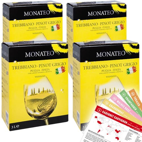 Monateo Trebbiano Pinot Grigio, trocken, Bag-in-Box, sortenreines Weinpaket + VINOX Winecards (4x3,0l) von VINOX