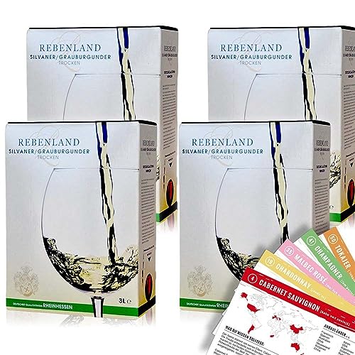 Rebenland Silvaner Grauburgunder, trocken, Bag-in-Box, sortenreines Weinpaket + VINOX Winecards (4x3,0l) von VINOX