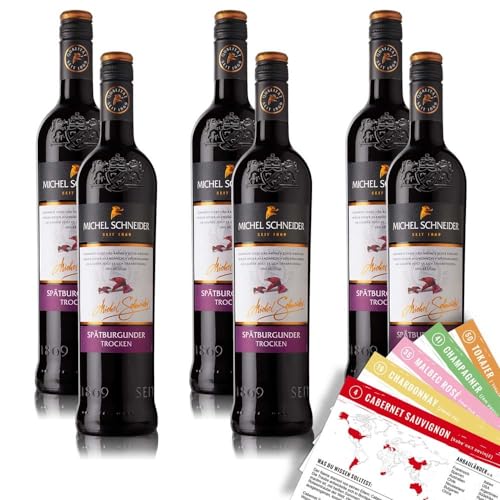 Michel Schneider Spätburgunder QbA, trocken, sortenreines Weinpaket + VINOX Winecards (6x0,75l) von VINOX