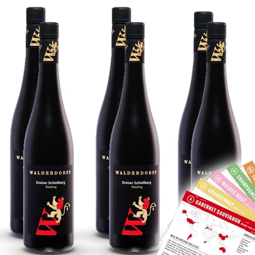 Walderdorff Dreiser Schloßberg Riesling Kabinett QmP, trocken, sortenreines Weinpaket + VINOX Winecards (6x0,75l) von VINOX