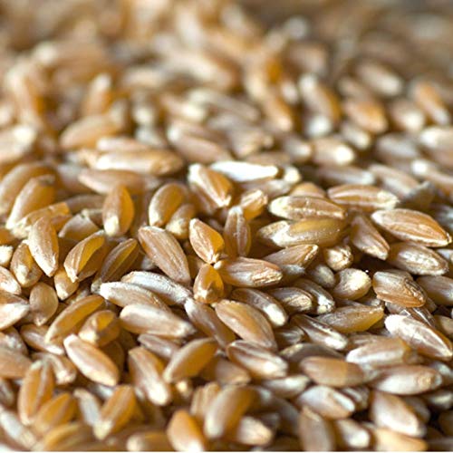 Pearl Dinkelpackung mit 1 kg - Angebot 10 Stück Pearl Dinkelpackung mit 1 kg - Angebot 10 Stück von VISA FRUIT