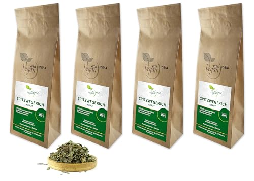 VITA IDEAL Vegan® SPITZWEGERICH Kraut 4x 300g geschnitten & getrocknet - Plantago lanceolata - Spitzwegerichkraut - SPITZWEGERICHKRAUT Kräuter Tee & Aufguss, ohne Zusatzstoffe. von VITA IDEAL Vegan