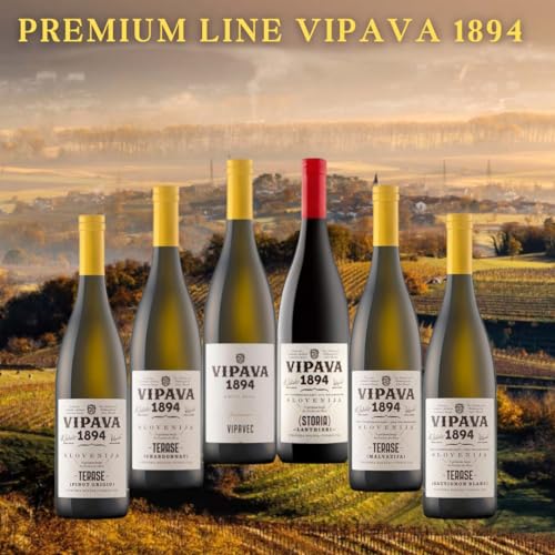 VIPAVA 1894 Weißwein Probierpaket: "Terase" Weine (Vipavec, Chardonnay, Sauvignon, Pinot Gris, Malvazija,Storia), Weißwein Verkostung, Qualitätswein - ZGP (6x 0,75L) von VRTOVČAN