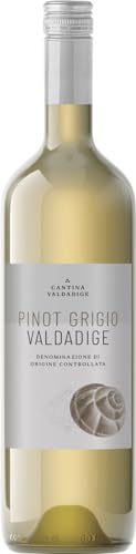 Valdadige Veronese Pinot Grigio DOC 2023 0.75 L Flasche von Valdadige Veronese