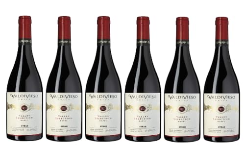 6x 0,75l - 2018er - Viña Valdivieso - Valley Selection - Gran Reserva - Syrah - Valle del Curicó D.O. - Chile - Rotwein trocken von Valdivieso