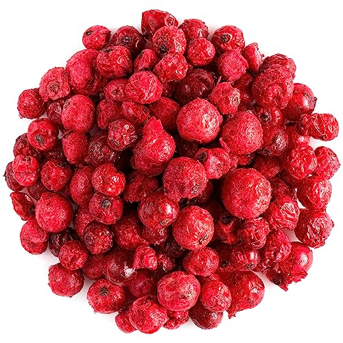 Beeren Mischung Getrocknet Biologisch – Aromatische Trockenbeeren Gefriergetrocknet Früchte Blaubeeren Getrocknet Heidelbeeren Bio Himbeeren Getrocknet Heidelbeer Gefriergetrocknete Beeren von Valley of Tea