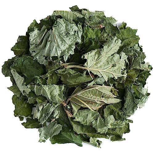 Valley of Tea Haselnuss Blatt Tee - Corylus Avellana - Bio, 200 g, Kräutertee von Valley of Tea
