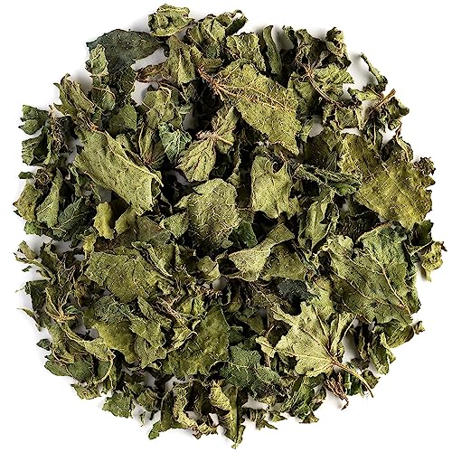 Brennnessel Tee Bio Brennesseltee – Nesselblatt Urtica Dioica - Brennesselblätter Brennessel Getrocknet Brennnessel Bio Brennesseln Brenesseltee Brennesltee Brenessel Tee Brennesell Tee 100G von Valley of Tea