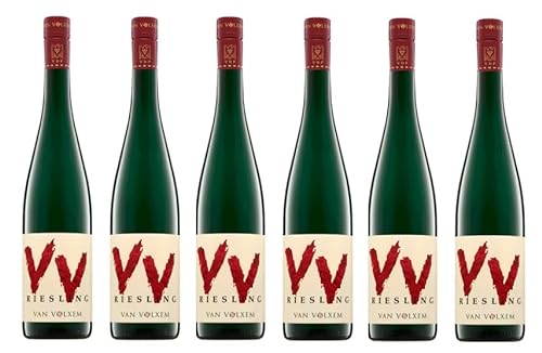 6x 0,75l - Van Volxem - Riesling VV - feinherb - Qualitätswein Mosel - Deutschland - Weißwein halbtrocken von Van Volxem
