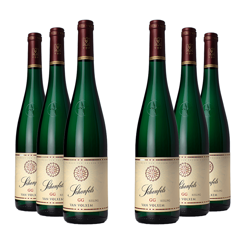 Van Volxem : Schonfels Riesling Grosses Gewächs 2021 Van Volxem : Schonfels Riesling Grosses Gewächs 2021 von Van Volxem