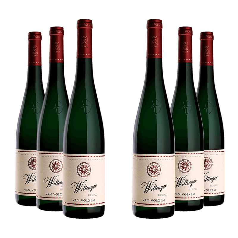 Van Volxem : Wiltinger Riesling 2021 Van Volxem : Wiltinger Riesling 2021 von Van Volxem