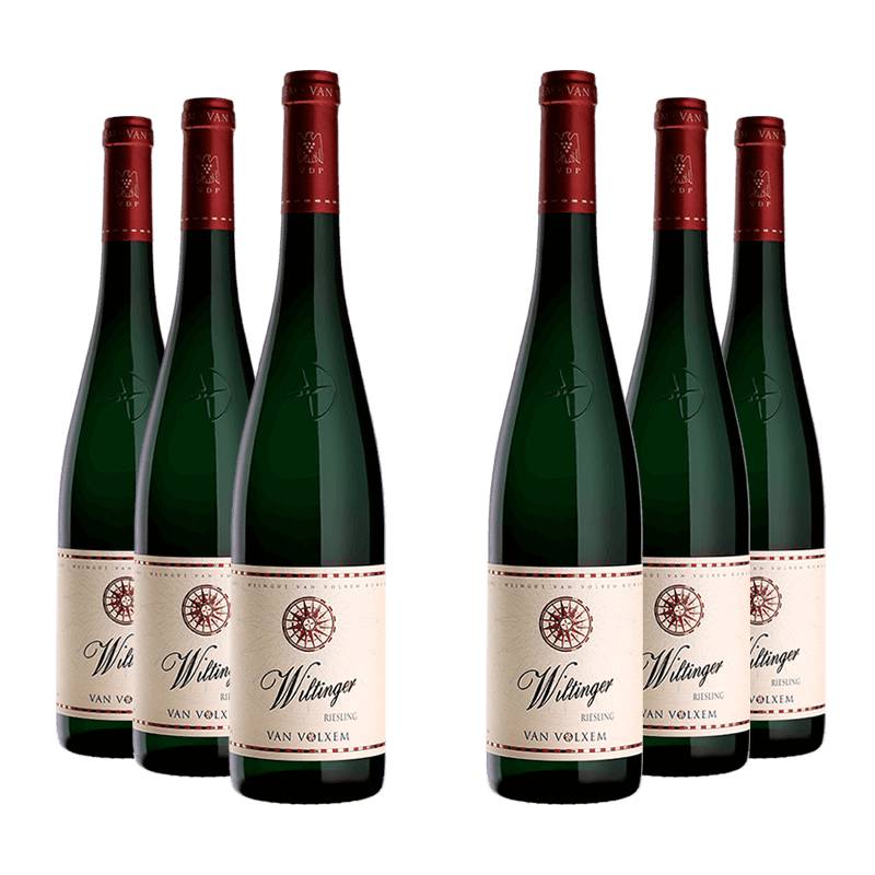 Van Volxem : Wiltinger Riesling 2021 von Van Volxem