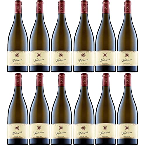 Van Volxem Weißburgunder Weißwein veganer Wein trocken QbA Deutschland I Versanel Paket (12 x 0,75l) von Van Volxem