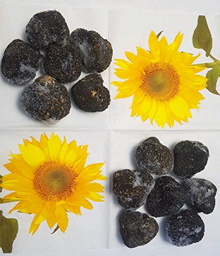 100g frische schwarze Trüffel ab 30g- Sommertrüffel - Tuber Aestivum Vitt- tiefgefroren in innovativer Art- wie frisch- erste Wahl- Express Versand von Vecchio Borgo Tartufi & Funghi