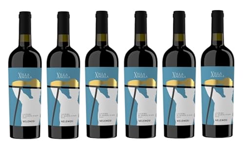 6x 0,75l - 2022er - Velenosi - Villa Angela - Lacrima di Morro d'Alba D.O.P. - Marché - Italien - Rotwein trocken 6x 0,75l - 2022er - Velenosi - Villa Angela - Lacrima di Morro d'Alba D.O.P. - Marché - Italien - Rotwein trocken von Velenosi
