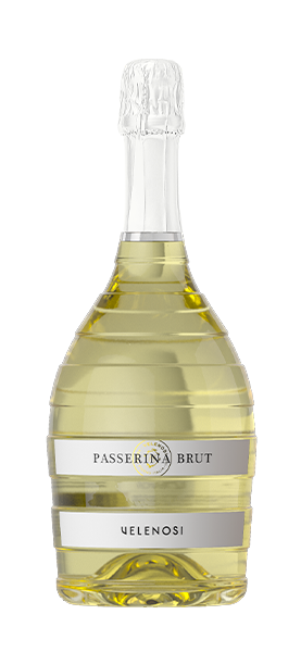 Passerina Brut von Velenosi