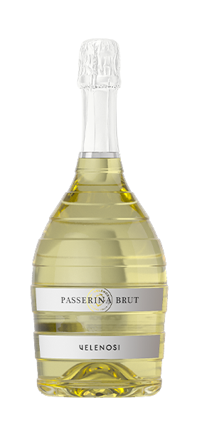 Passerina Brut von Velenosi