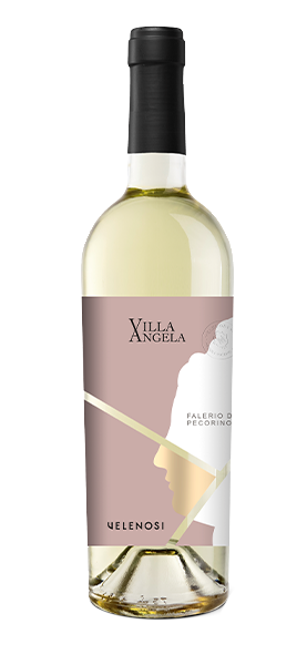 Pecorino Falerio DOC "Villa Angela" 2022 von Velenosi