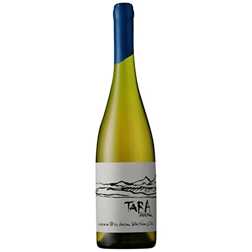 Tara Atacama Chardonnay - 2019 - Ventisquero von Ventisquero