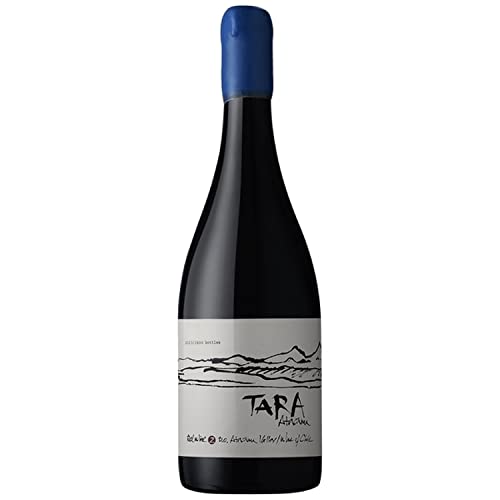 Tara Atacama Syrah - 2016 - Ventisquero von Ventisquero