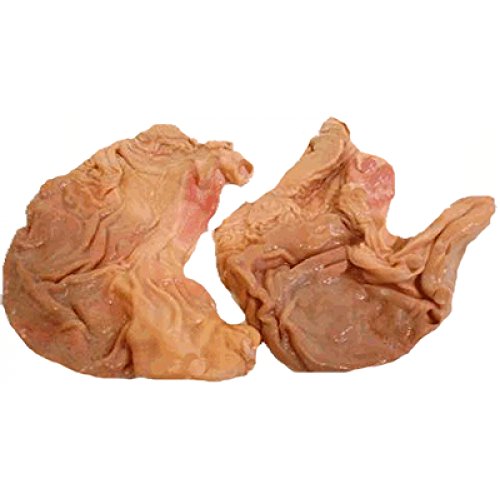 Schweinemagen frisch gesalzen 10 Stück Schweinemagen frisch gesalzen 10 Stück von MeinMetzger Gutes bewusst genießen