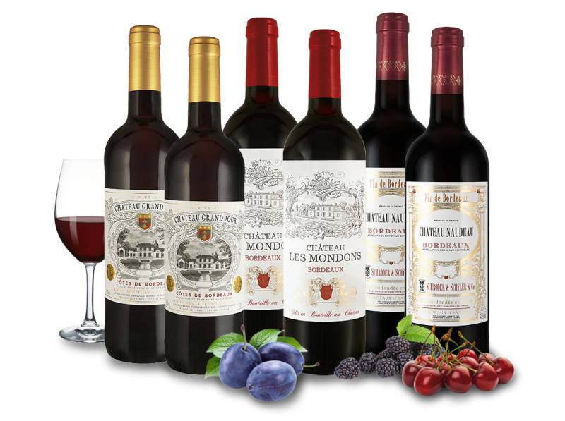 Weingenuss von kleinen Châteaux von Verschiedene