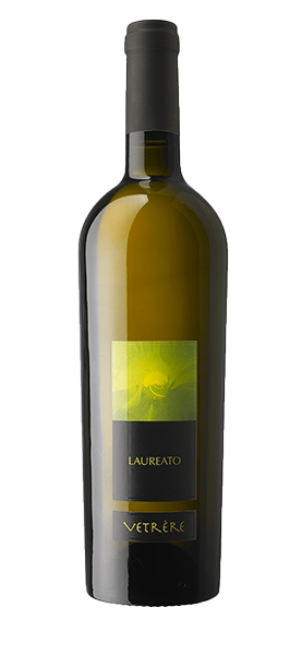 "Laureato" Salento Bianco IGP 2023 von Vetrère