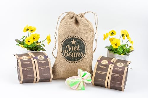 Kaffee Geschenk für Kaffeeliebhaber - Kaffee im Kaffeesack Jute - Vier Sorten exotischer Kaffee im Jutesack - Kaffee Geschenkidee - Geschenk für Kaffeetrinker - Probierset - Gemahlen von VietBeans