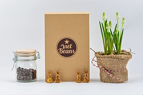 VietBeans Kaffeebohnen Probierset in Geschenkbox - Vier spannende Kaffeesorten für Kaffeeliebhaber - Kaffee Geschenkset Ganze Bohnen - Geschenkidee Kaffee - Probier Set 4 x 80g von VietBeans